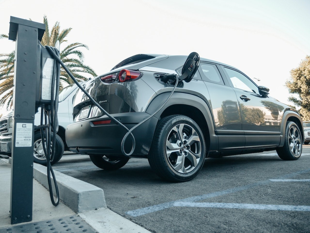 Eco-Friendly Travels: Hybrid or Electric Rental Cars